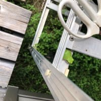 暑いですね