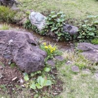 一人ひとり違う現実を創っている