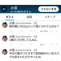 プロ野球の誹謗中傷