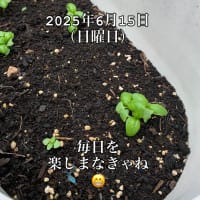2025/06/15