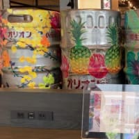 キジムナーの杜へ行ってきました