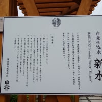 雨が降りそうなので近場の知多半島で