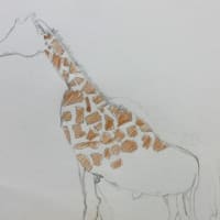 動物園スケッチ ①