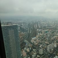 52階からの眺め❗