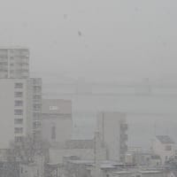 雪が降る