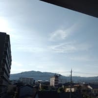 2025年6月6日（金）晴。