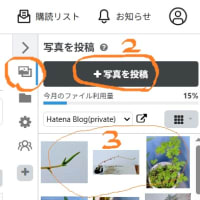 はてなブログ　画像添付とカテゴリー追加　20250516