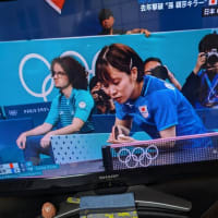 🏓女子決勝戦