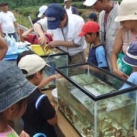 霞川水辺の生き物調査体験教室（報告）