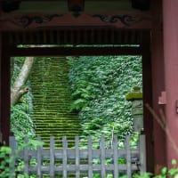 久しぶりの鎌倉。