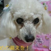 梅雨前線の復活に…台風2号の発生～ (-＿-)ｳｰﾑ　トカラの群発地震は続く…