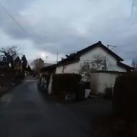 雨水、橙ピール