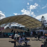 春のよそおい、梅の香ただよう、平岡公園新札幌を歩く