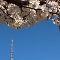 朝は余裕を持ち結局ドタバタ