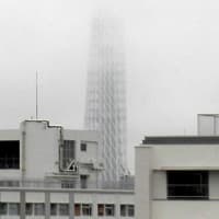2025/6/26の朝の東京スカイツリー