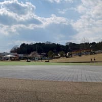 鹿深夢の森で花見