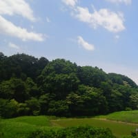 近所の田舎の風景
