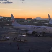 往復日帰りJAL移動でドラマも夕陽も満喫！