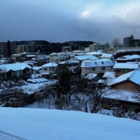 長崎で大雪　近畿も寒い‼️