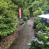 あじさい神社　六條八幡宮