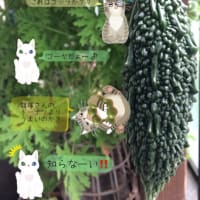 おうち時間　大好き！