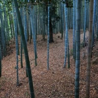 石清水八幡宮にお参り　新年あけましておめでとうございます