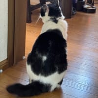 2025/6/19の朝