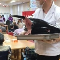 天然マグロ