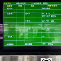イワシの大群っ！