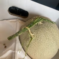 メロンの茎
