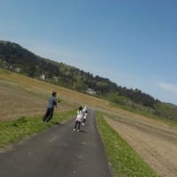 子供の日の凧あげ