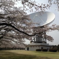 宇宙へ届け・さくら