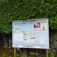 https blog goo ne jp korede193 e 04844132e905f32ea2f9003289fa4e64