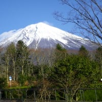 富士山が綺麗だったので