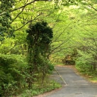 きっと、やればできる