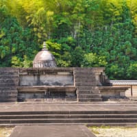 法隆寺、薬師寺、唐招提寺　に行きました