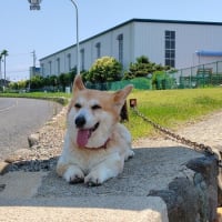 1年ぶり・・・