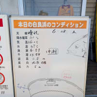 フィニッシュ白浜大会8