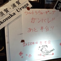 三浦100kmウルトラウォーキング