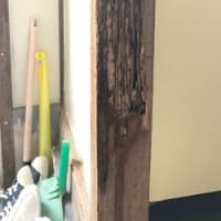 白蟻の跡をガムテープで貼ってはいけない