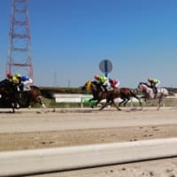 後藤繁樹は無理！競馬騎手になるための条件とは