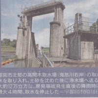 20110910下野新聞　栃木の現状　食の安全特集（４）～水道水について～