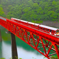 奥大井湖上駅へ歩いて行ってみた。。。②