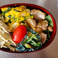今日の弁当