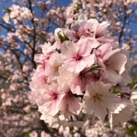 カルチャーの現場から　＃４８「音楽」