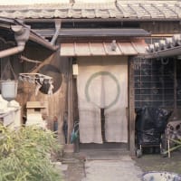 エボシ様が見てる