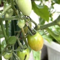 6月27日(金）