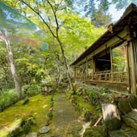 京都・奈良・広島へ　-9　（嵐山へ）　・・・　trip to Kyoto, Nara & Hiroshima  -9