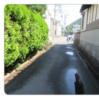 ２　安佐北ノルディック・ウォーク392　　護岸道路へと