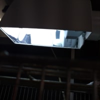 どの紫外線ライトが良いの？